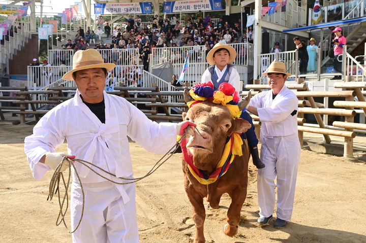 [진주=뉴시스] 제128회 진주 전국민속소힘겨루기대회. (사진=전주시 제공) 2024.10.14. photo@newsis.com *재판매 및 DB 금지