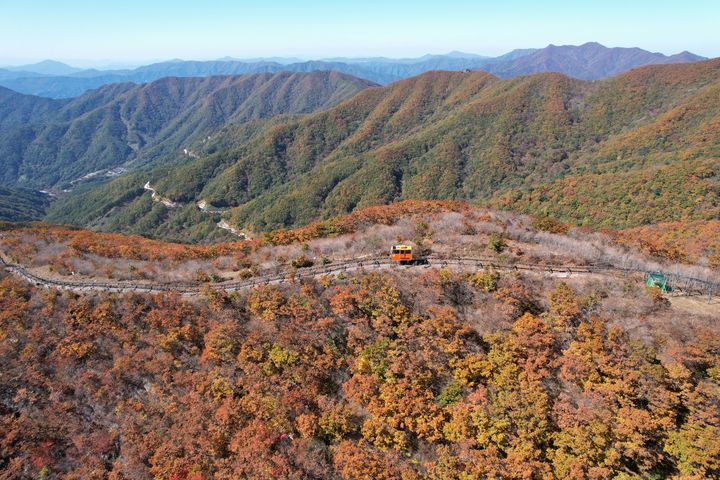 [함양=뉴시스] 가을 대봉산. (사진=뉴시스 DB). photo@newsis.com  *재판매 및 DB 금지