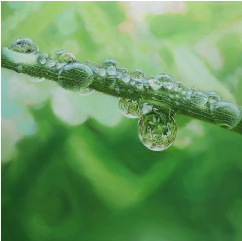 선화랑 이영수 개인전. Natural Image 100 x 100 cm Oil on canvas 2024 *재판매 및 DB 금지