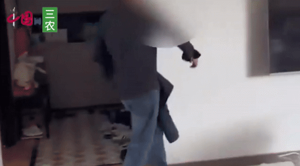 [서울=뉴시스] 중국의 한 남성이 이혼 소송 중 홧김에 망치로 집을 때려 부수는 등 폭력적인 행위를 저지르는 모습이 담긴 영상이 공개됐다. (사진=中国网三农) *재판매 및 DB 금지