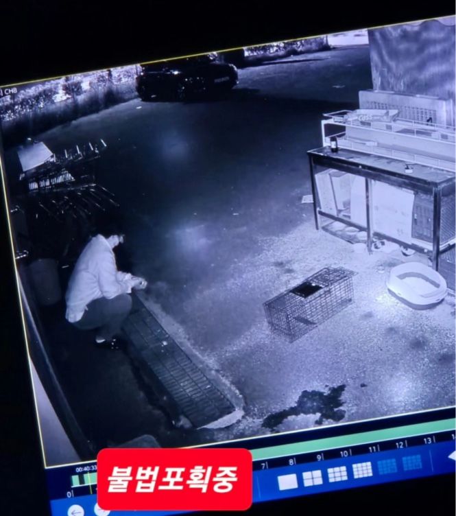 [천안=뉴시스] 충남 천안시 서북구 성성동 한 마트 주차장에서 길고양이를 불법포획 중인 남성 (사진=천안지역 동물보호단체 '동아이' 제공) *재판매 및 DB 금지