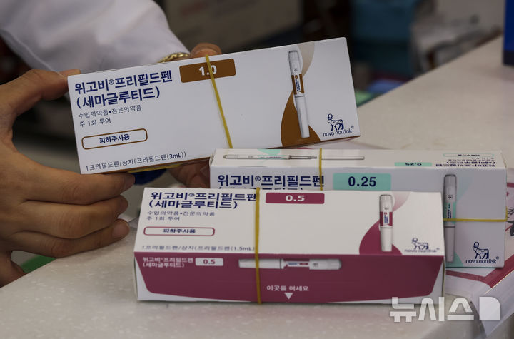 노보 "고용량 위고비 FDA 승인 신청...1~2개월내 검토" - 뉴스 썸네일 이미지
