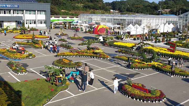 [양양=뉴시스] 양양국화축제장 전경. (사진=양양군 제공) *재판매 및 DB 금지