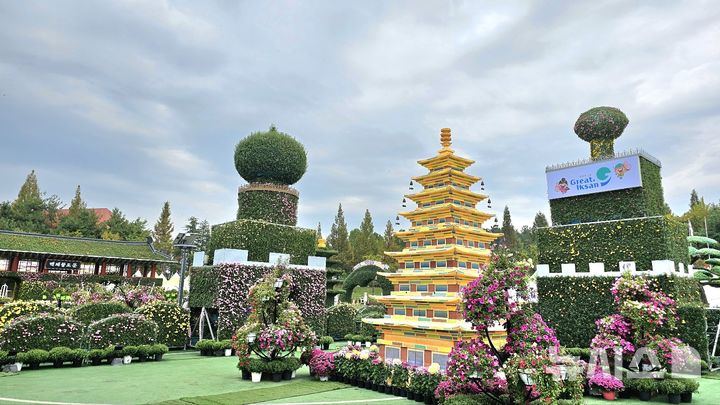 익산시 중앙체육공원서 '제21회 천만송이 국화축제' 