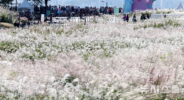 [서울=뉴시스] 추상철 기자 = 20일 오후 서울 마포구 하늘공원에서 열린 '서울억새축제'에서 시민들이 가을 정취를 즐기고 있다. 2024.10.20. scchoo@newsis.com