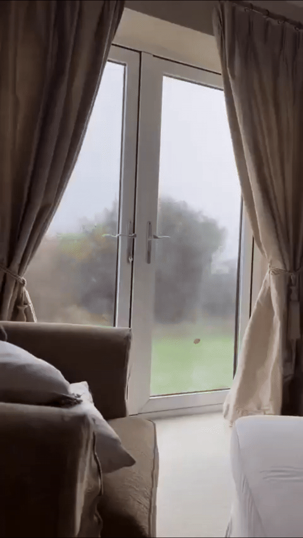 [서울=뉴시스] 집 안에서 창밖의 폭풍 애슐리를 관찰하고 있다.(사진= X @TheGlutton 갈무리)  *재판매 및 DB 금지 *재판매 및 DB 금지