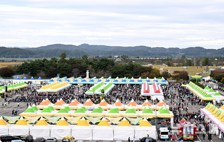 [파주=뉴시스] '파주개성인삼축제'.(사진=뉴시스 DB).photo@newsis.com