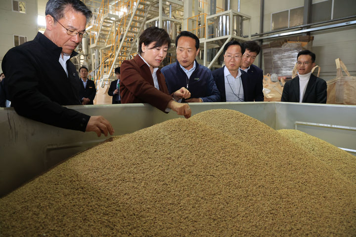[서울=뉴시스] 송미령 농림축산식품부 장관이 수확한 벼를 살펴보고 있다. (사진=농림축산식품부 제공) 2024.10.21. photo@newsis.com *재판매 및 DB 금지