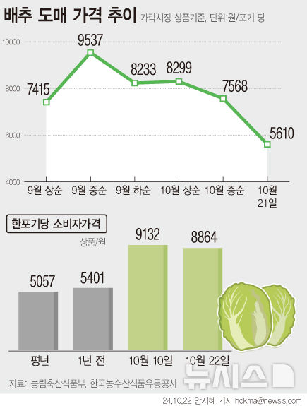 [서울=뉴시스] 22일 농림축산식품부는 10월 하순부터 배추 출하 지역이 확대되고, 출하량도 늘어나 배추 가격이 안정될 것으로 전망했다. 송미령 농림축산식품부 장관은 전날 가락시장에서 거래되는 배추 1포기당 도매가격이 5328원으로 하락한 만큼 소매가격에 반영되면서 가격 부담이 완화될 수 있다고 설명했다. (그래픽=안지혜 기자)  hokma@newsis.com