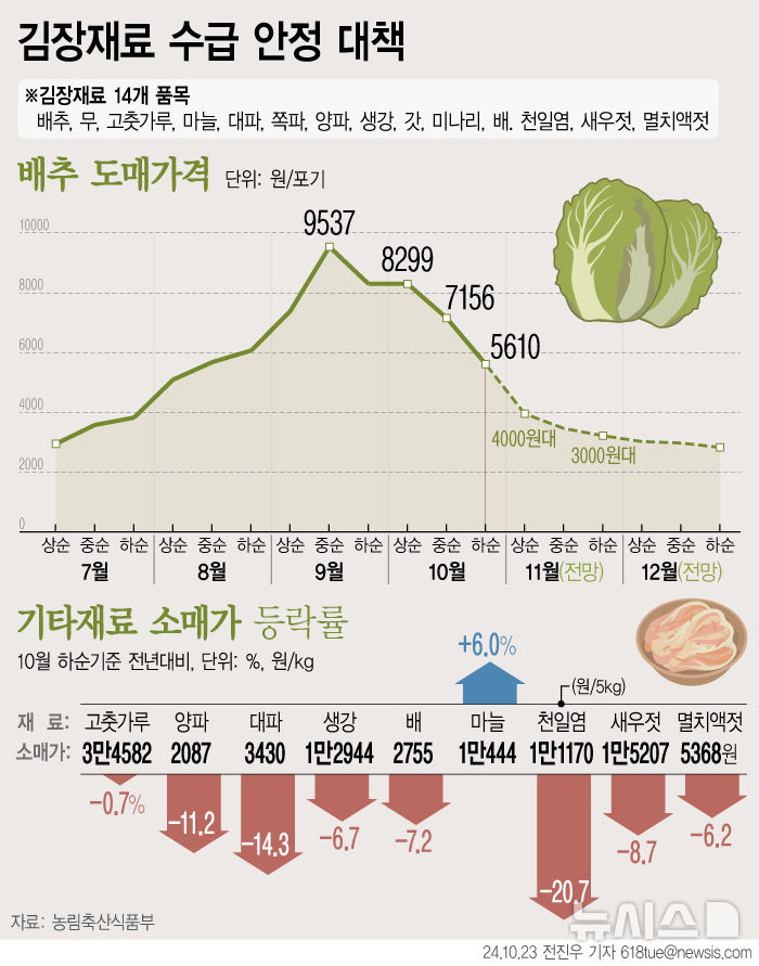 [서울=뉴시스] 23일 농림축산식품부에 따르면 배추 도매가격은 포기당 9월 중순 9500원 수준으로 정점을 찍은 후 10월 상순 8300원, 10월 중순 7156원, 10월 하순 5610원으로 하락세를 보이고 있다. 농식품부는 배추 도매가격 전망 변동성이 많지만 11월 상순엔 4000원대, 하순엔 3000원대로 전망된다도 밝혔다. (그래픽=전진우 기자)  618tue@newsis.com