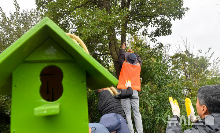 [서귀포=뉴시스] 우장호 기자 = 23일 제주 서귀포시 안덕면 제주신화전설탐방로 신나락만나락에서 제주신화월드가 운영하는 장애인표준사업장 행복공작소와 한국장애인고용공단 관계자들이 새집 달아주기 행사를 진행하고 있다. 2024.10.23. woo1223@newsis.com