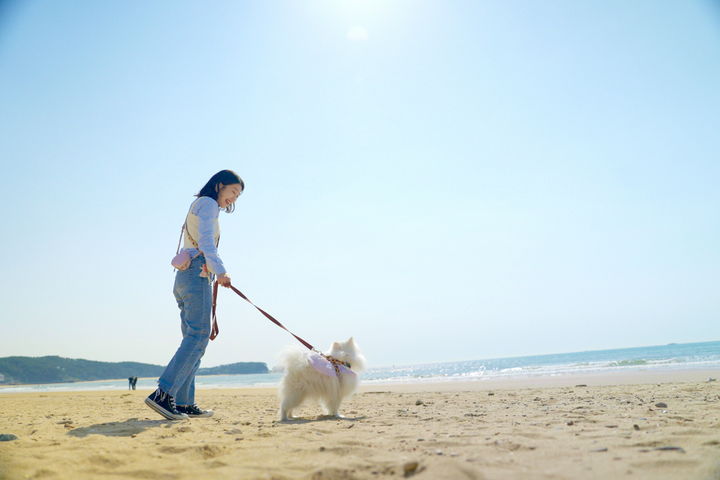 [태안=뉴시스] 지난해 5월 반려견과 함께 충남 태안을 찾은 한 반려인이 해변을 거닐고 있다. (사진=태안군 제공) 2024.10.24.  *재판매 및 DB 금지