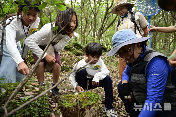 [제주=뉴시스] 저지 곶자왈 탐험 모습. (사진=뉴시스 DB). photo@newsis.com *재판매 및 DB 금지