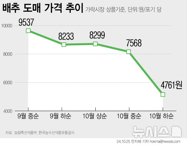 [서울=뉴시스] 10월 들어 가을배추의 작황은 호전되고 있는 것으로 전해졌다. 가격도 뚜렷한 하락세를 보이고 있다. 10월 상순 가락시장 평균 도매가격은 배추 1포기당 9299원을 보였지만 하순에는 포기당 4761원으로 2배가량 낮아졌다. (그래픽=안지혜 기자)  hokma@newsis.com