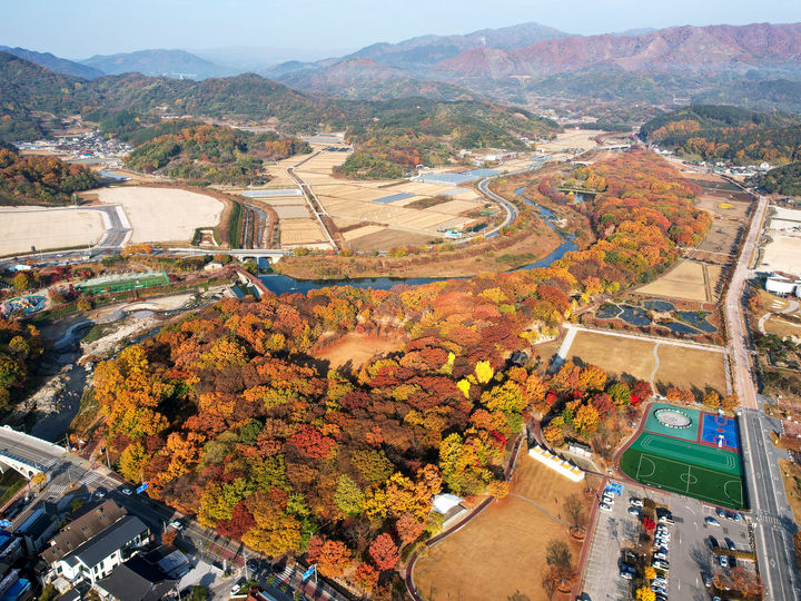 '함양 상림'의 가을 (사진=경남 함양군) *재판매 및 DB 금지