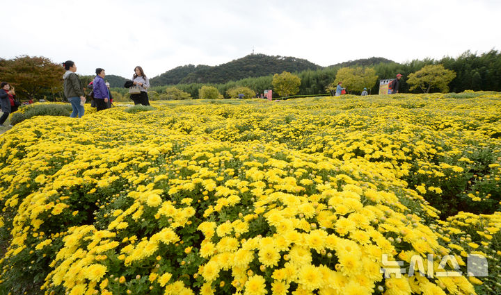 [울산=뉴시스] 배병수 기자 = 27일 울산 중구 태화강 국가정원일원에서 '2024 태화강 국가정원 가을축제'가 열리고 있다. 2024.10.27.bbs@newsis.com.