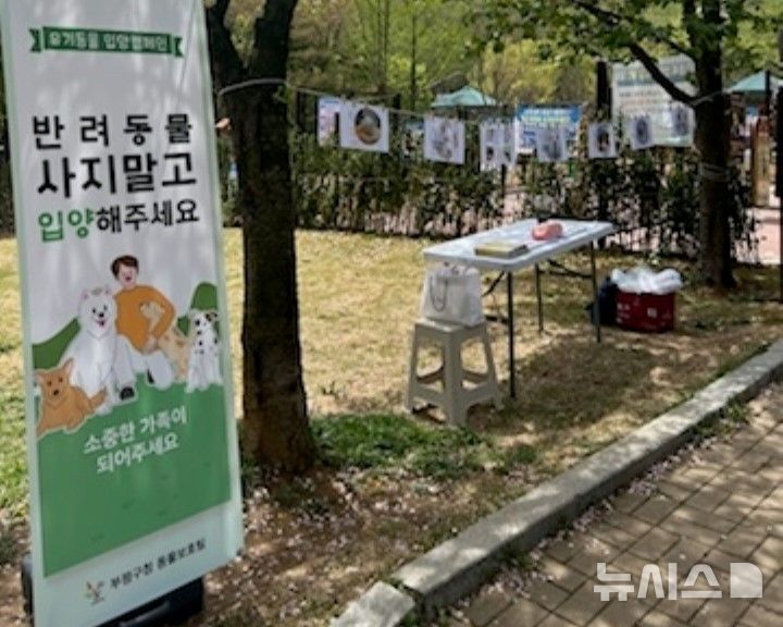 인천 부평구, 유기견과 함께하는 산책행사 30일 개최