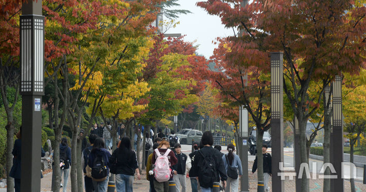 [전주=뉴시스] 김얼 기자 = 완연한 가을 날씨가 이어지고 있는 28일 전북 전주시 전북대학교 교정의 가로수가 형형색색 물들어가고 있다. 2024.10.28. pmkeul@newsis.com