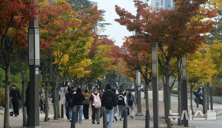 [전주=뉴시스] 김얼 기자 = 완연한 가을 날씨가 이어지고 있는 28일 전북 전주시 전북대학교 교정의 가로수가 형형색색 물들어가고 있다. 2024.10.28. pmkeul@newsis.com