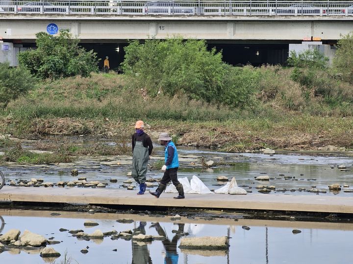 [광주=뉴시스] 박기웅 기자 = 29일 오전 광주 북구 서방천 일대에서 물고기가 집단 폐사해 북구청 직원들이 수거 작업을 하고 있다. (사진 = 광주 북구 제공) 2024.10.29. photo@newsis.com *재판매 및 DB 금지