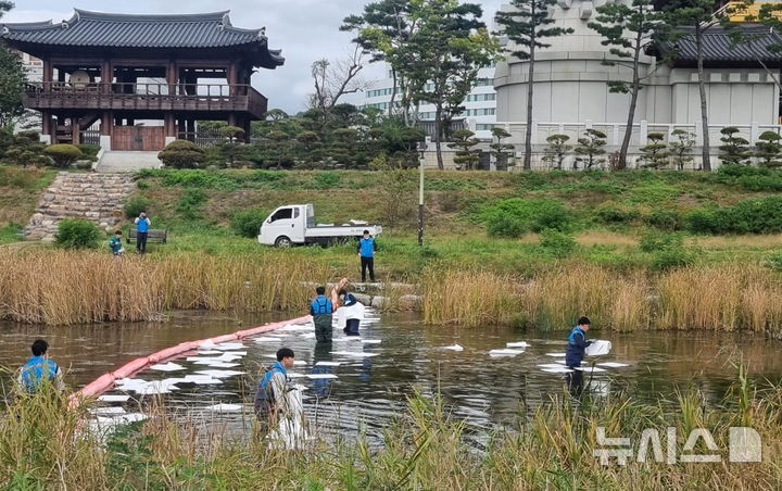 경주 신라교 일대 수질오염사고 대비 방제 훈련