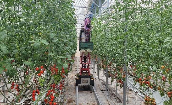 친환경 과수채소 전문단지. (사진=전남도 제공) *재판매 및 DB 금지