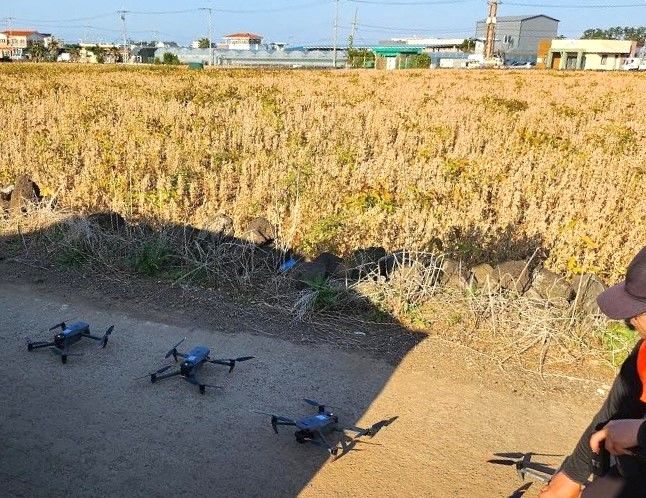 [제주=뉴시스] 제주도는 월동채소의 재배면적을 확인, 수급안정 등에 활용하기 위해 드론 촬영을 실시한다. (사진=제주도 제공) 2024.10.31. photo@newsis.com *재판매 및 DB 금지