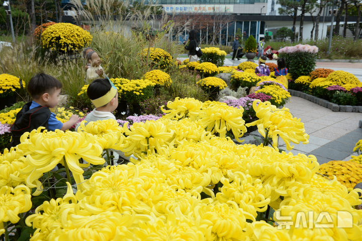 울산, 맑다가 내일  5~10㎜ 비…해안가 물결 높아 