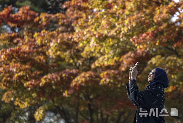 [서울=뉴시스] 정병혁 기자 = 완연한 가을 날씨를 보인 31일 서울 중구 남산을 찾은 여행객들이 울긋불긋 빛깔로 물든 단풍 사진을 찍고 있다. 2024.10.31. jhope@newsis.com