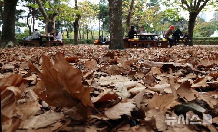[부산=뉴시스] 하경민 기자 = 31일 부산 부산진구 부산시민공원을 찾은 시민들이 벤치에 앉아 낙엽 쌓인 가을 정취를 느끼고 있다. 2024.10.31. yulnetphoto@newsis.com