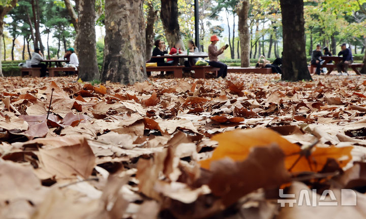부산 동부 건조경보 발효, 중부·서부 주의보 유지