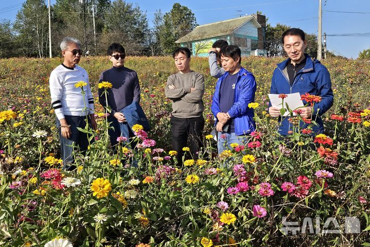 [인천=뉴시스] 이루비 기자 = 국내 선진지 벤치마킹에 나선 윤환 인천 계양구청장이 10월31일 전북 고창군 학원농장의 백일홍 군락지에서 동행한 공무원들과 의견을 나누고 있다. 2024.11.01. ruby@newsis.com