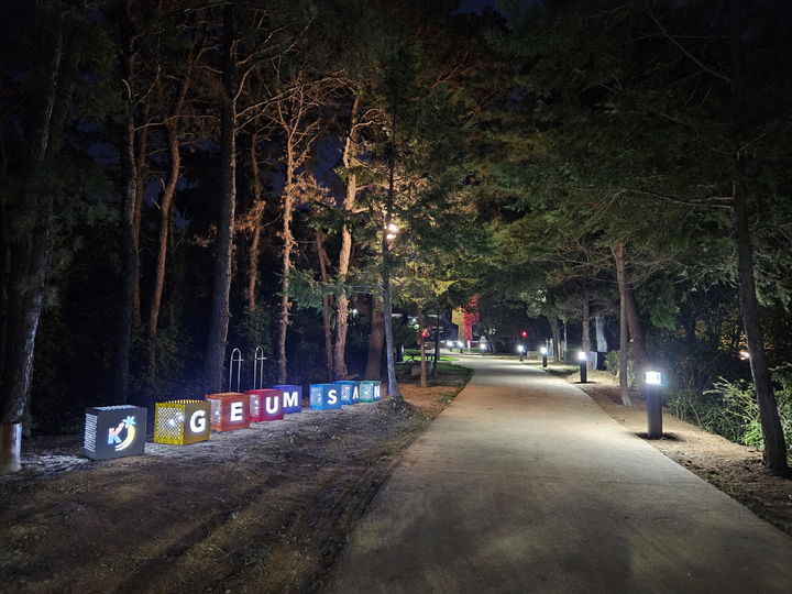 [금산=뉴시스] 충남 금산군 비호산 야간 경관. (사진= 금산군 제공) 2024.11.01. photo@newsis.com *재판매 및 DB 금지