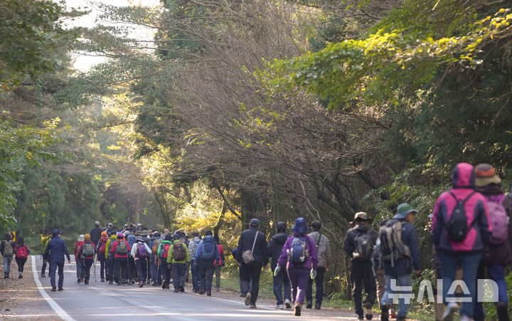 [제주=뉴시스] 3일 오전 제주 한라산 어승생 유원지에서 제14회 한라산 고상돈로 걷기대회가 열리고 있다. (사진=제주도 제공) 2024.11.03. photo@newsis.com