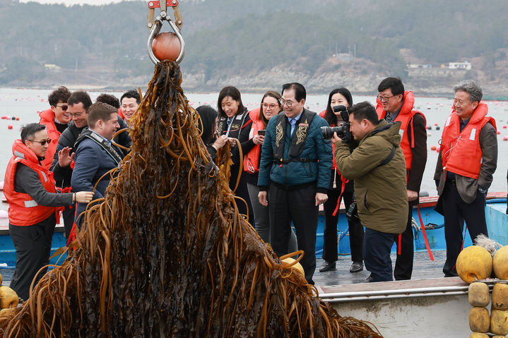 [광주=뉴시스] 완도군은 4일 미국 에너지부 산하기관인 고등계획원(ARPA-E) 관계자들이 지난 1월 한·미 에너지부 국제공동연구 개발사업인 '외해 해조류 양식 기술 시스템 구축'을 위해 사업 대상지인 완도를 찾았다고 밝혔다. (사진=완도군 제공). 2024.11.04. photo@newsis.com *재판매 및 DB 금지