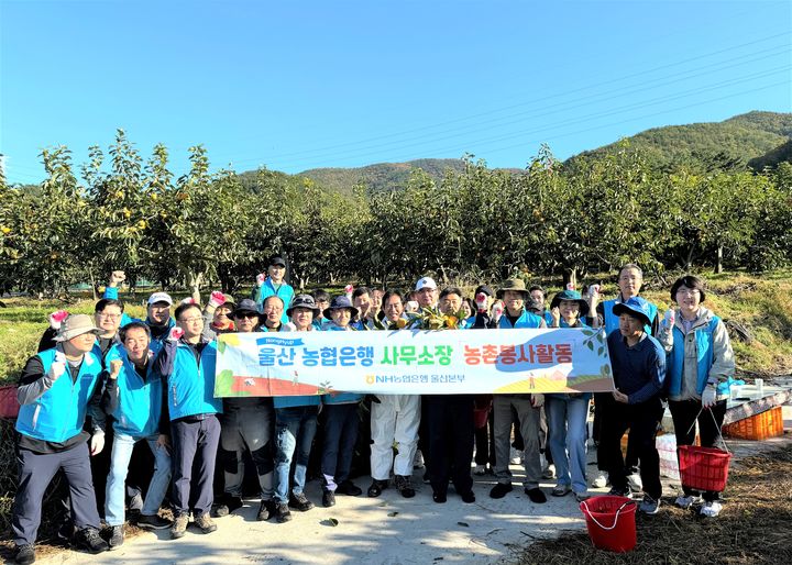 울산농협, '단감데이' 수확철 농가 일손돕기 봉사활동 등[울산소식]