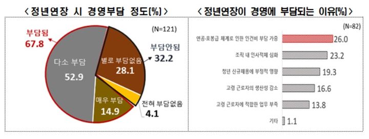 [서울=뉴시스]한국경제인협회가 여론조사기관 리서치앤리서치에 의뢰해 국내 종업원 300인 이상 기업 인사노무 분야 담당자를 대상으로 실시한 '고령자 고용정책에 관한 기업인식 조사' 결과. (사진 = 한경협) 2024.11.04. photo@newsis.com   *재판매 및 DB 금지