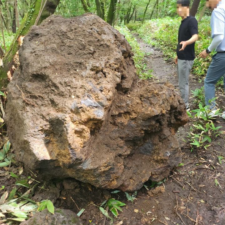 [제주=뉴시스] 한라산에서 무단 채취한 4t가량의 자연석. (사진=제주도자치경찰단 제공) 2024.11.05. photo@newsis.com *재판매 및 DB 금지