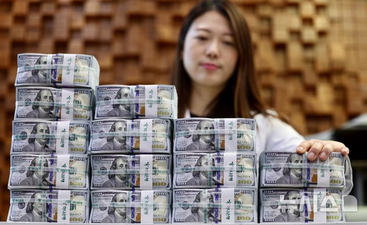 [서울=뉴시스] 김명년 기자 = 우리나라 외환보유액이 넉 달만에 하락했다. 1400원에 육박한 환율 방어를 위한 외환당국의 미세 조정에 외화 자금이 줄어든 것으로 보인다. 외환 보유고는 13개월째 9위를 기록했다. 한국은행이 5일 발표한 '2024년 10월 말 외환보유액'에 따르면 지난달 말 기준 외환보유액은 4156억9000만 달러로 전월 말(4199억7000만 달러)보다 42억8000만 달러 줄었다. 이날 오전 서울 중구 하나은행 위변조대응센터에서 관계자가 달러화를 정리하고 있다. 2024.11.05. kmn@newsis.com