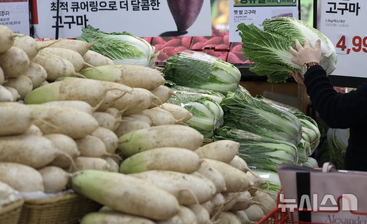 [서울=뉴시스] 김명년 기자 = 서울시내 한 대형마트에서 방문객이 배추를 살펴보고 있다. 2024.11.05. kmn@newsis.com