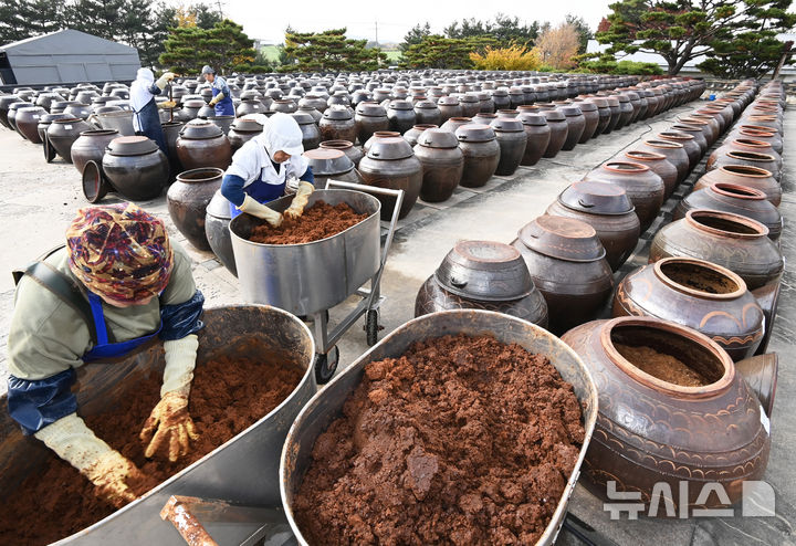 [안성=뉴시스] 김종택기자 = 콩을 발효해 된장과 간장을 만드는 한국의 장(醬) 문화가 유네스코 인류무형문화유산 '등재 권고' 판정이 내려진 5일 경기도 안성시 일죽면 서일농원에서 직원들이 장을 관리하고 있다.최종 등재 여부는 오는 12월 2∼7일 파라과이의 수도 아순시온에서 열리는 제19차 무형유산위원회 논의를 거쳐 결정된다.장 문화가 등재될 경우 한국의 유네스코 인류무형문화 유산은 23개로 늘어난다. 2024.11.05. jtk@newsis.com