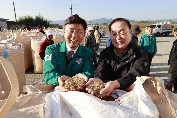 [보성=뉴시스] 지난해 보성 공공비축미곡 매입 장면. (자료 사진 = 보성군 제공). 2024.11.06. photo@newsis.com *재판매 및 DB 금지