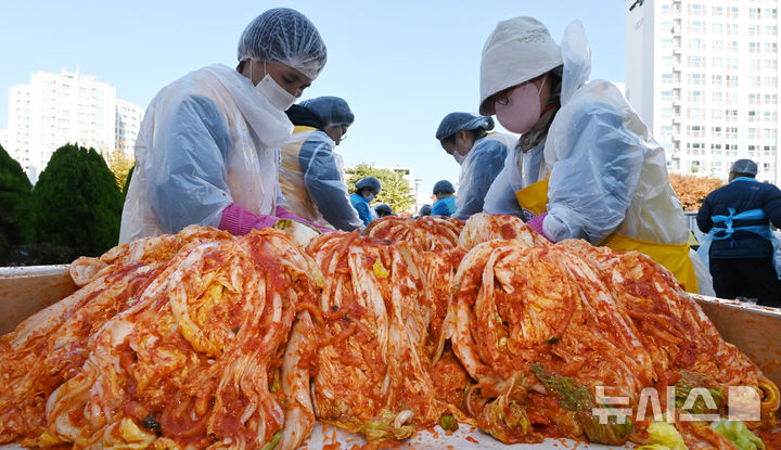 [화성=뉴시스] 김종택기자 = 6일 경기도 화성시 자원봉사센터에서 열린 따뜻한 겨울나기 '사랑의 김장김치 나눔'행사에서 적십자 봉사원들이 취약계층에 전달할 김치를 담그고 있다. 2024.11.06. jtk@newsis.com