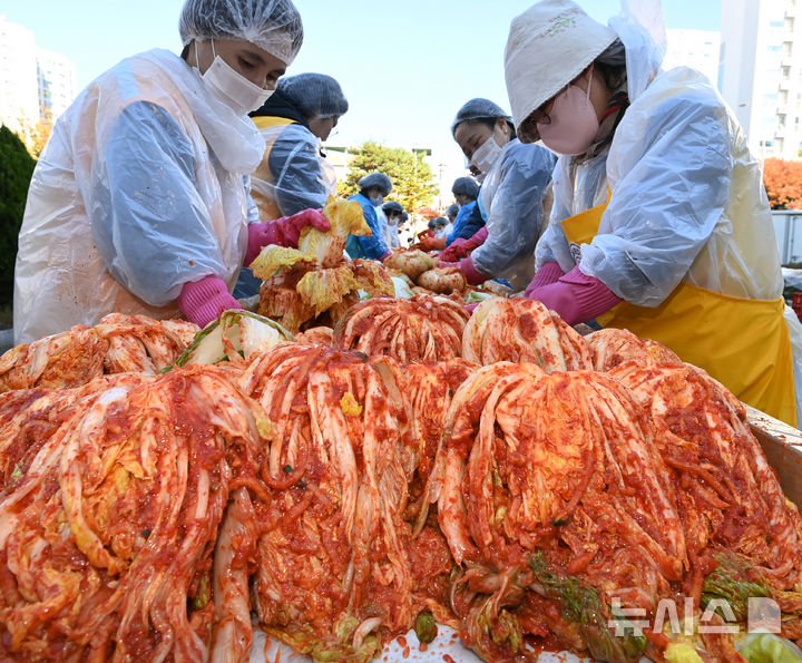 [화성=뉴시스] 김종택기자 = 6일 경기도 화성시 자원봉사센터에서 열린 따뜻한 겨울나기 '사랑의 김장김치 나눔'행사에서 적십자 봉사원들이 취약계층에 전달할 김치를 담그고 있다. 2024.11.06. jtk@newsis.com