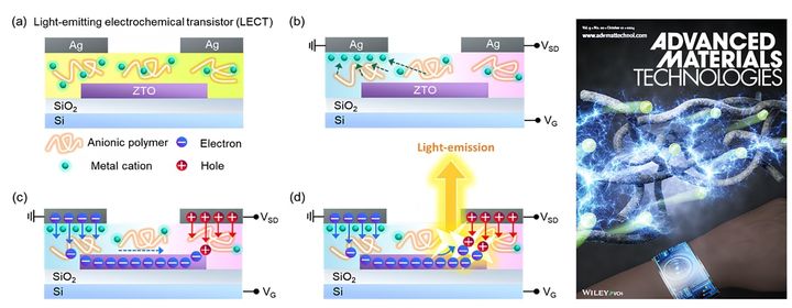 전기화학 발광 트랜지스터의 발광 메커니즘과 'Advanced Materials Technologies' 학술지 표지 이미지 (사진=경희대 제공) *재판매 및 DB 금지