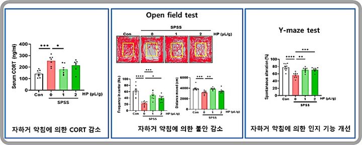 [대전=뉴시스] 외상후스트레스 장애(PTSD) 동물모델에서의 자하거 약침에 의한 불안, 인지기능 저하 감소 연구도. (사진=한의학연구원 제공) 2024.11.07. photo@newsis.com&nbsp; *재판매 및 DB 금지