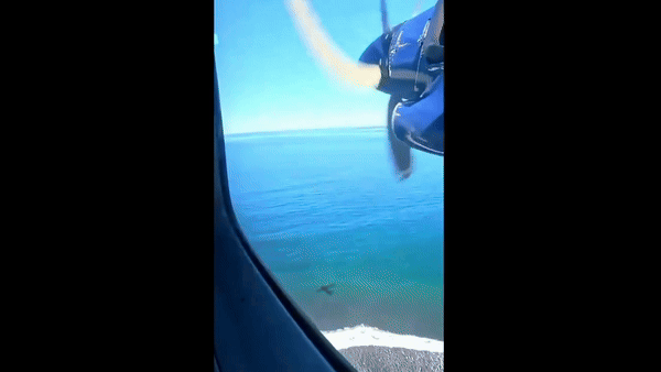 [서울=뉴시스] 이륙하던 여객기 화물칸에서 수하물이 떨어지는 사고가 발생했다. (사진=dailymail) *재판매 및 DB 금지