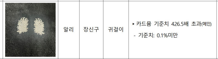 [서울=뉴시스]알리 귀걸이. 2024.11.08. (사진=서울시 제공)  *재판매 및 DB 금지