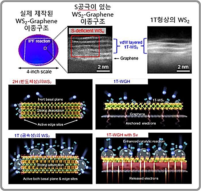 [대전=뉴시스] 기계연구원이 제작한 4인치 WS2-그래핀(Graphene) 이종구조와 원자층 단면 TEM 이미지. (사진=기계연구원 제공) 2024.11.07. photo@newsis.com *재판매 및 DB 금지