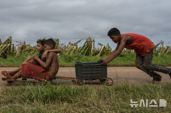 [기라 데 멜레나=AP/뉴시스] 7일(현지시각) 쿠바 아르테미사주 기라 데 멜레나 어린이들이 허리케인 라파엘로 파괴된 바나나 농장 옆에서 놀고 있다. 2024.11.08.